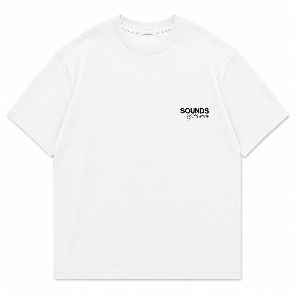 Camiseta Semi Oversized Lion Of Judah