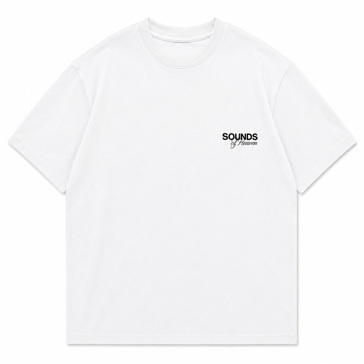 Camiseta Semi Oversized Lion Of Judah